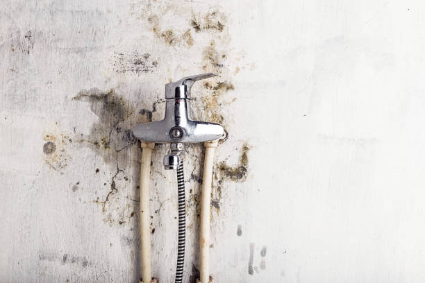 Best Residential Mold Remediation in Augusta, KS