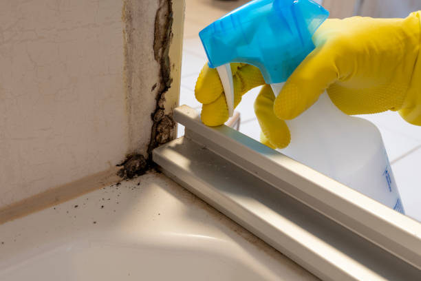 Best Bathroom Mold Remediation in Augusta, KS