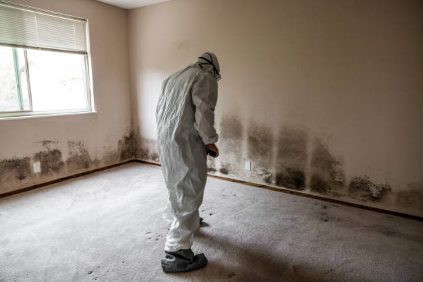 Best Industrial Mold Remediation in Augusta, KS